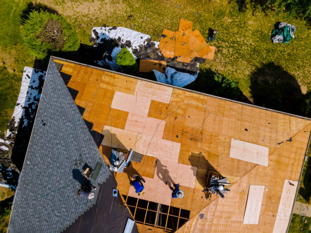 Best Local Roofing Companies  in Electra, TX
