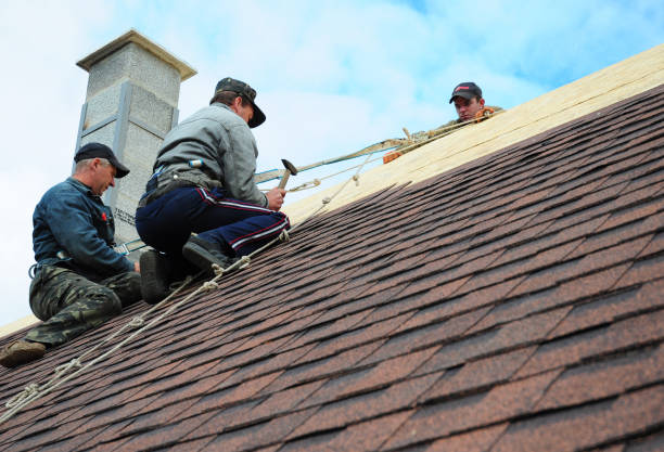 Best Residential Roofing Contractor  in Electra, TX